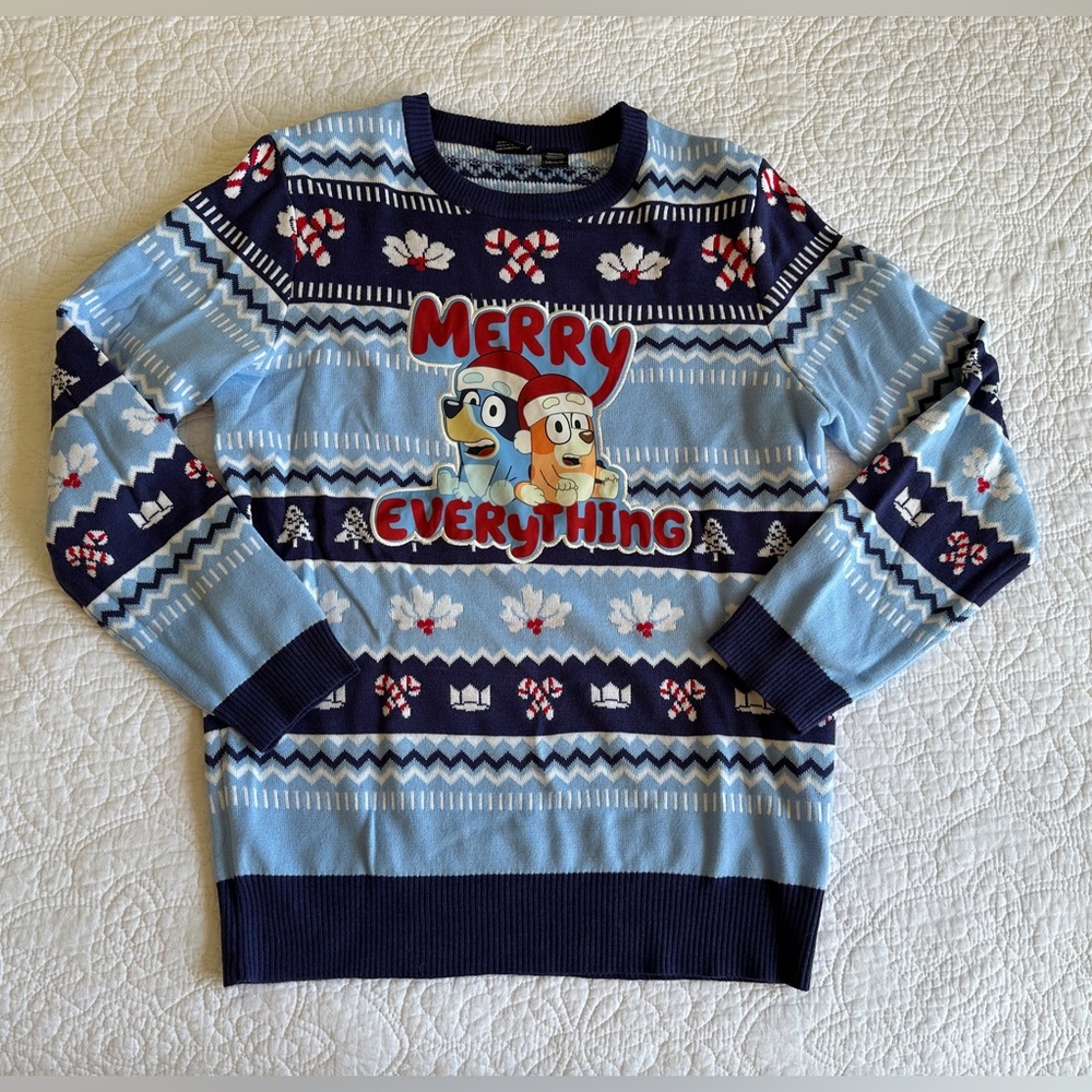 Bluey Bingo Heeler Family Santa Hat Holiday Christmas Graphic Sweater Pullover S